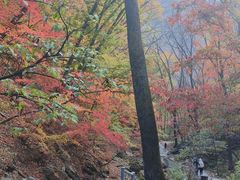 -三块石国家森林公园