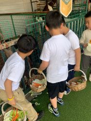 -小蜜蜂农场(凯德七宝购物广场店)