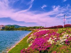 -南京银杏湖乐园