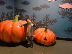 -烟台海昌鲸鲨海洋公园