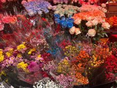 -越秀西湖花市(广州城市广场花卉店)