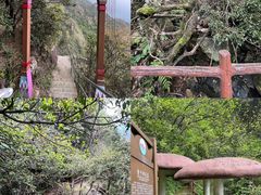 -金子山原生态旅游风景区