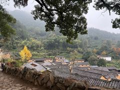 -杨家堂村