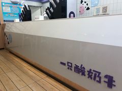 -一只酸奶牛(八一路店)