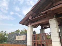 -南湖湿地公园
