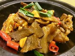 -石头咕(葵蓬店)