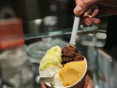 大米藏红花-Dip in Gelato(富民路店)