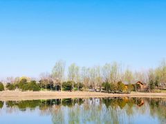 -东郊湿地公园