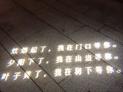 -映月湖中央公园