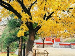 -香山公园
