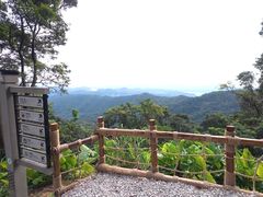 -广州市帽峰山景区
