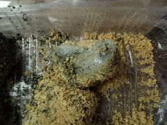 双陈记麻糍-叶氏麻糍(鼓浪屿店)