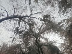 -水磨沟公园