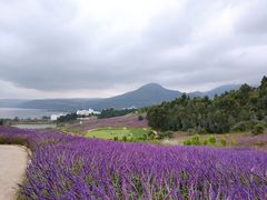 -阳宗海湿地