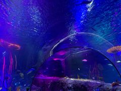 -沈阳海洋探索中心