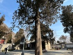 -华山风景区-华阳宫