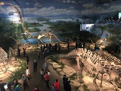 -自贡恐龙博物馆