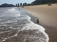 -南长涂沙滩