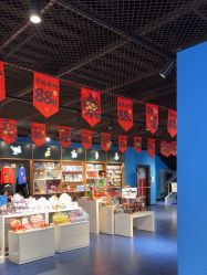 -飞览天下沉浸式飞行体验(北京旗舰店)