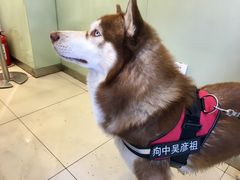 -1点点(中山门大街店)