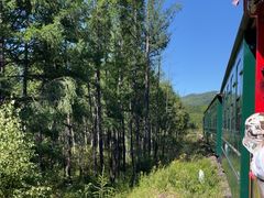 -莫尔道嘎国家森林公园