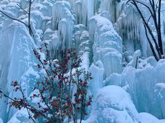 -青峰峡国家森林公园