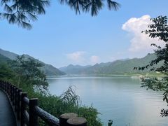 -羚羊峡古栈道森林公园