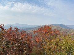 -北京西山国家森林公园