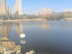 -前关湿地公园