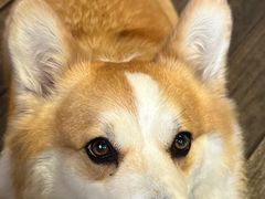 -肥朵食堂(带梦胡同店)