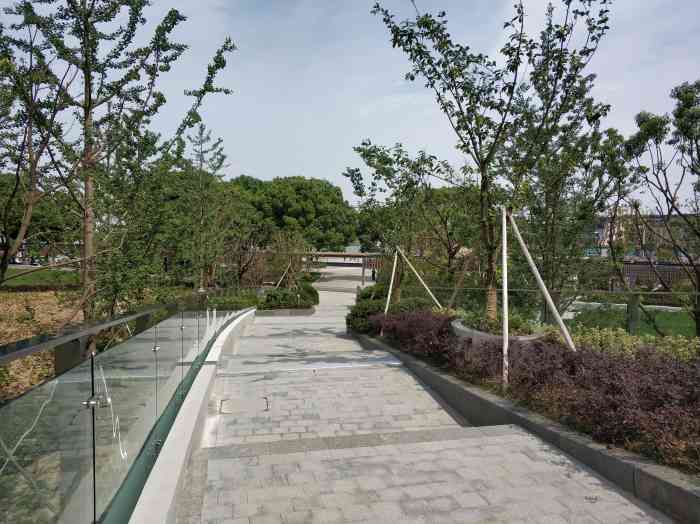 香樟园-"位于金鸡湖西岸,是以樟树为主的一片绿色小."-大众点评移动版