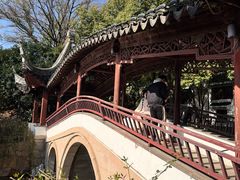 -苏州吴宫泛太平洋酒店