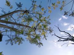 -飞凤山奥体公园