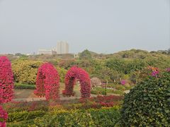 -东莞植物园