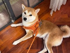 -西郊壹号