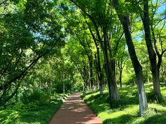 -虞山风景区