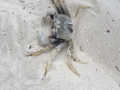 -东姑阿都拉曼海洋公园