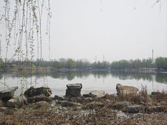 -马家湾湿地公园