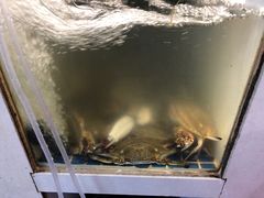 -老地方海鲜坊(步行街店)