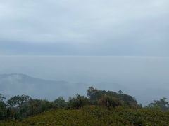 -黄埔油麻山森林公园