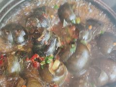 -阿龙酒煲(海宁新苑路店)