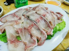 -金砂阿洲鱼册店