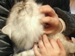 -藦茜花园宠物主题亲子互动体验馆(国顺东路店)
