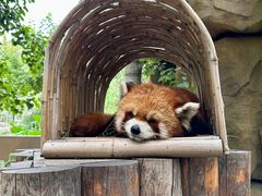 -北京野生动物园