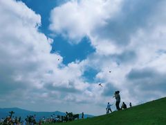 -大姆山草场