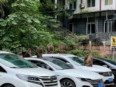 -西岭雪山大飞水景区
