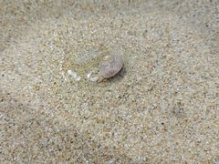 -西涌国际滨海旅游区