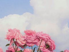 -九华山酒店温泉