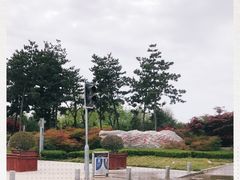 -洨河生态公园