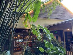 -勐丽梦兰傣味餐厅